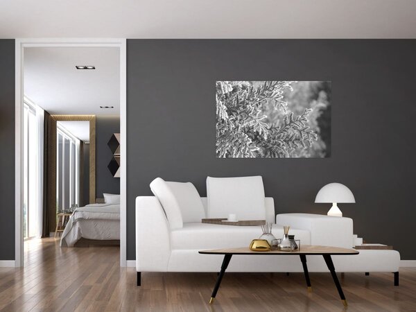 Tablou - Pădure de molid (90x60 cm)