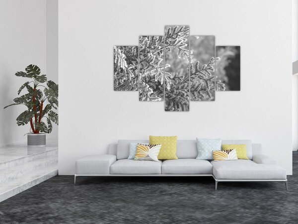 Tablou - Pădure de molid (150x105 cm)