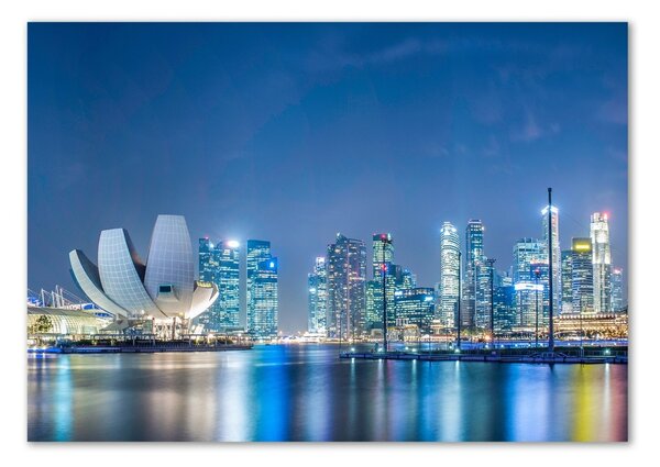Tablou pe pe sticlă Singapore timp de noapte