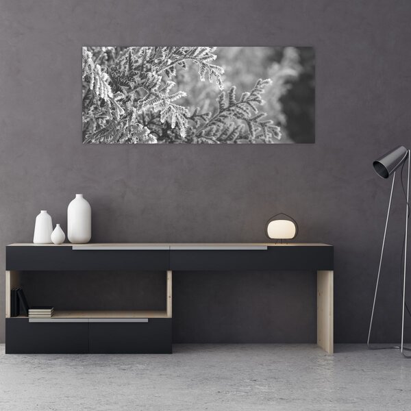 Tablou - Pădure de molid (120x50 cm)