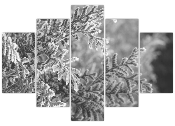 Tablou - Pădure de molid (150x105 cm)