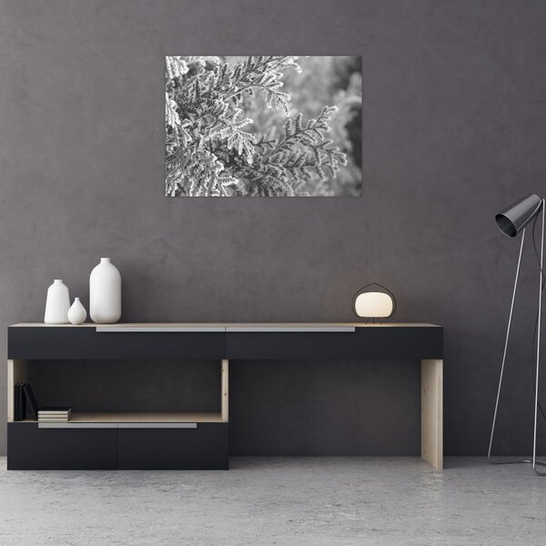 Tablou - Pădure de molid (70x50 cm)