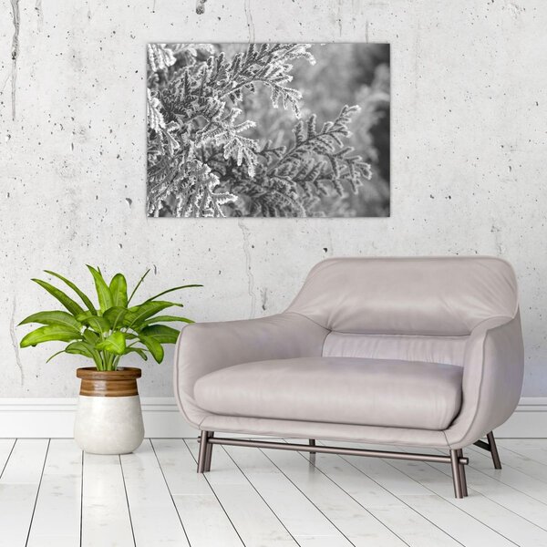 Tablou - Pădure de molid (70x50 cm)