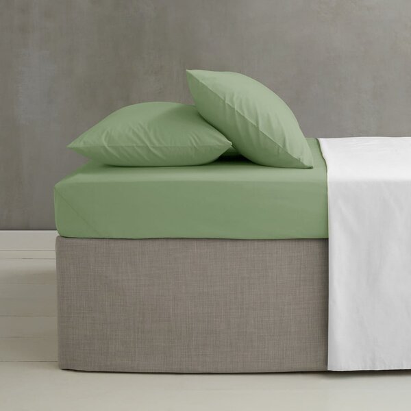Cearceaf verde din bumbac percale cu elastic 90x190 cm Easy Iron Percale – Catherine Lansfield
