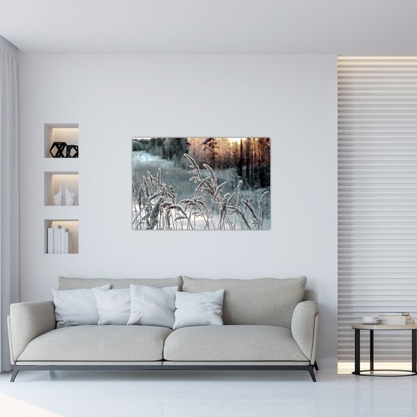 Tablou - Pajiște înghețată (90x60 cm)