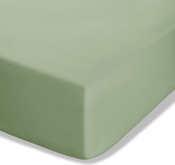 Cearceaf verde din bumbac percale cu elastic 90x190 cm Easy Iron Percale – Catherine Lansfield
