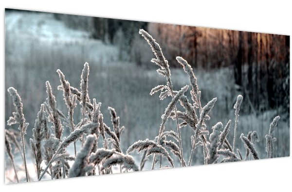 Tablou - Pajiște înghețată (120x50 cm)