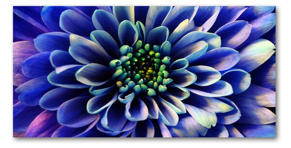 Tablou sticlă Aster