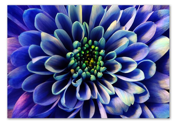 Tablou sticlă Aster