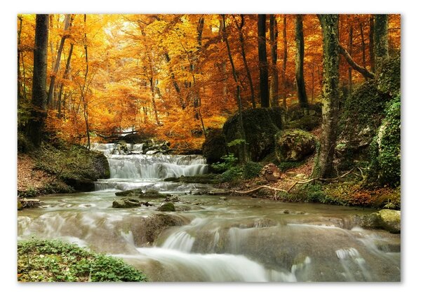 Tablou din Sticlă Cascada din pădure