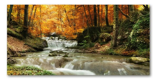 Tablou din Sticlă Cascada din pădure