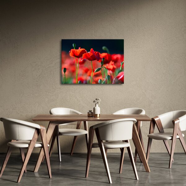 Tablou - flori de maci (70x50 cm)