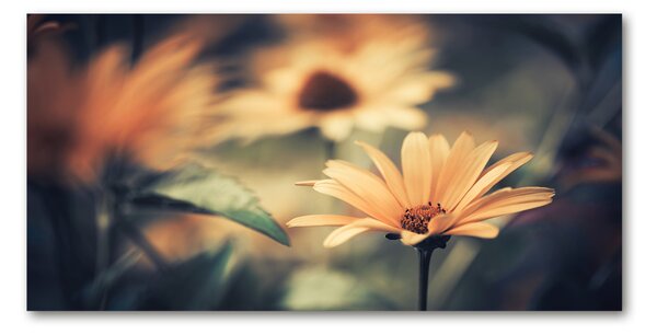 Tablou sticlă Floare de primavara