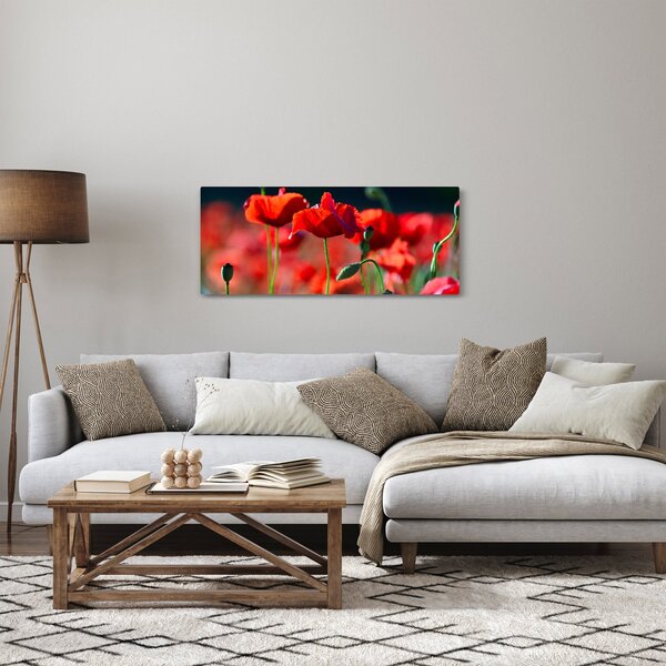 Tablou - flori de maci (120x50 cm)