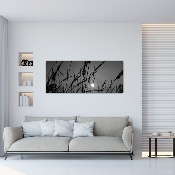 Tablou - Pajiște cu apus de soare (120x50 cm)