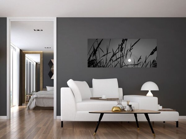 Tablou - Pajiște cu apus de soare (120x50 cm)