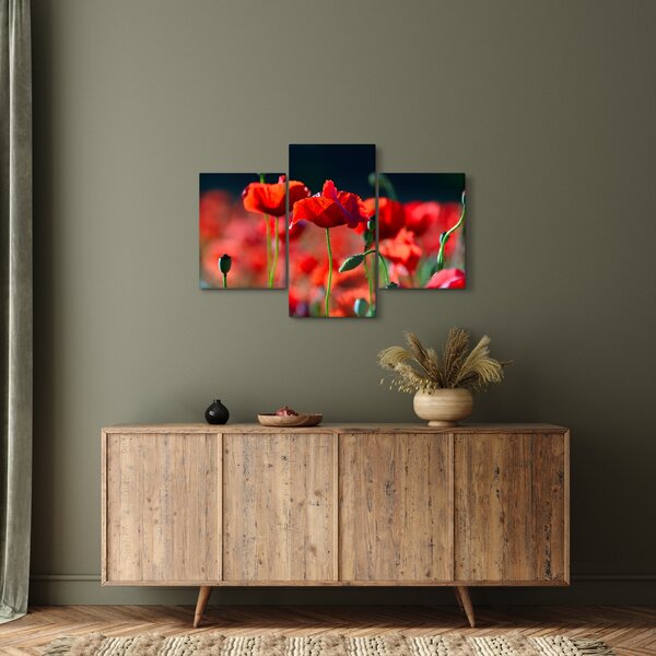 Tablou - flori de maci (90x60 cm)
