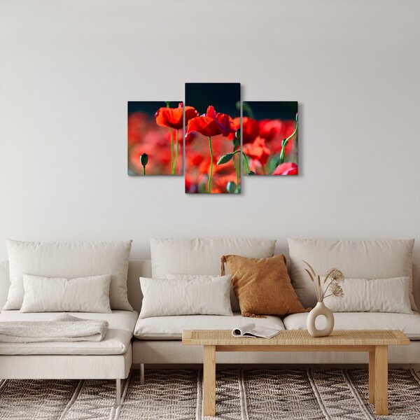Tablou - flori de maci (90x60 cm)