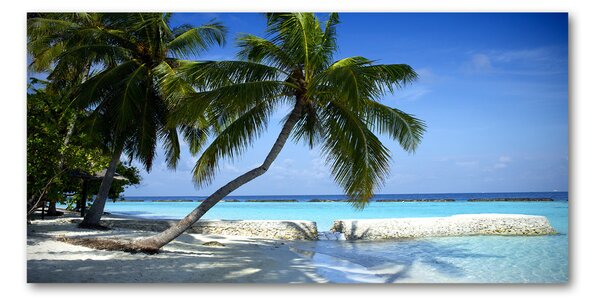 Tablou sticlă plaja tropicala
