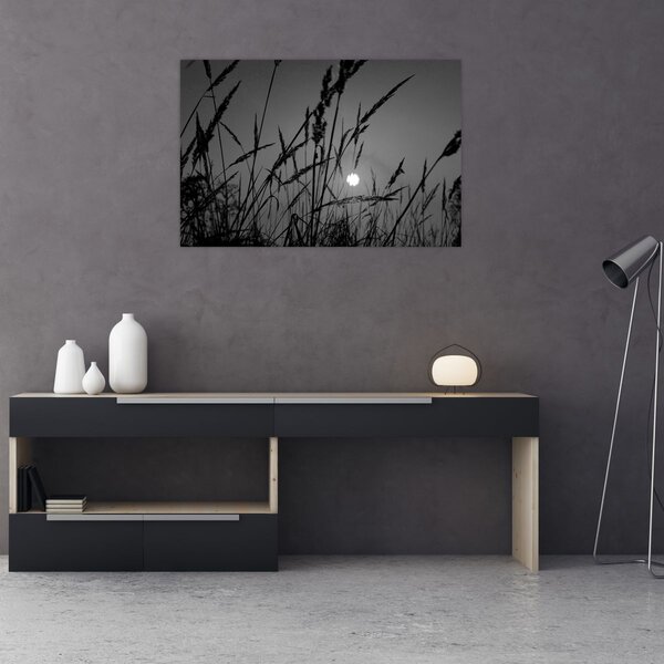 Tablou - Pajiște cu apus de soare (90x60 cm)