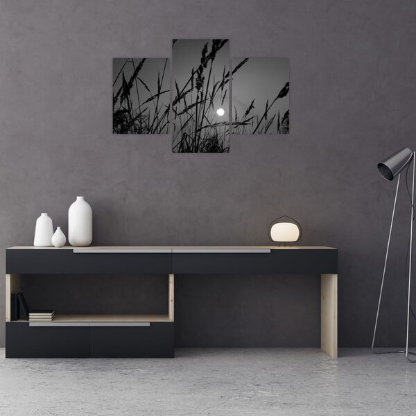 Tablou - Pajiște cu apus de soare (90x60 cm)