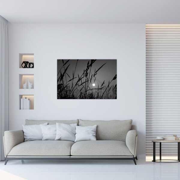 Tablou - Pajiște cu apus de soare (90x60 cm)
