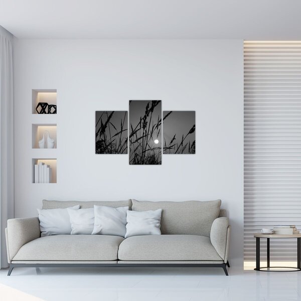 Tablou - Pajiște cu apus de soare (90x60 cm)