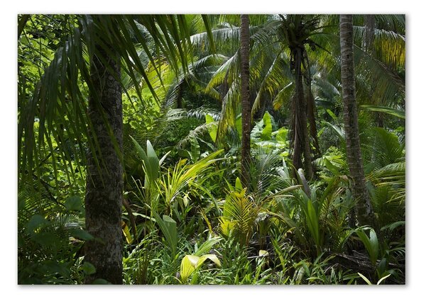 Tablou sticlă padure tropicala