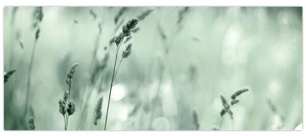Tablou - Pajiște verde (120x50 cm)