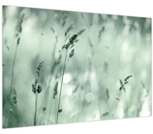 Tablou - Pajiște verde (90x60 cm)