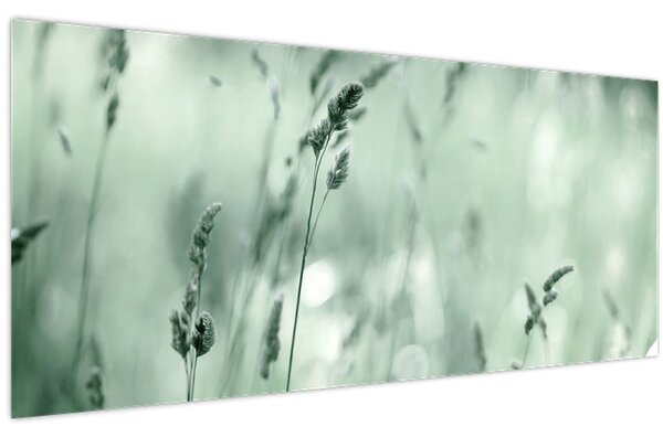 Tablou - Pajiște verde (120x50 cm)