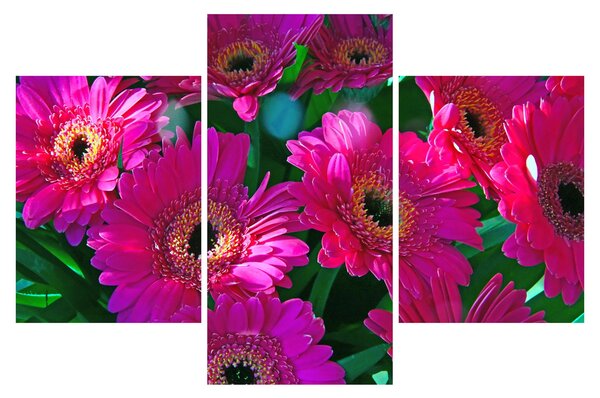 Tablou - floare (90x60 cm)