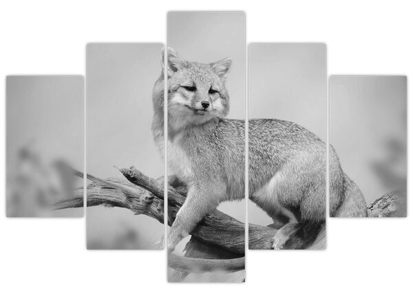 Tablou - Vulpe gri (150x105 cm)
