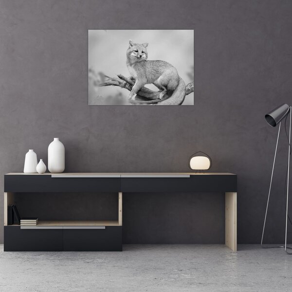 Tablou - Vulpe gri (70x50 cm)