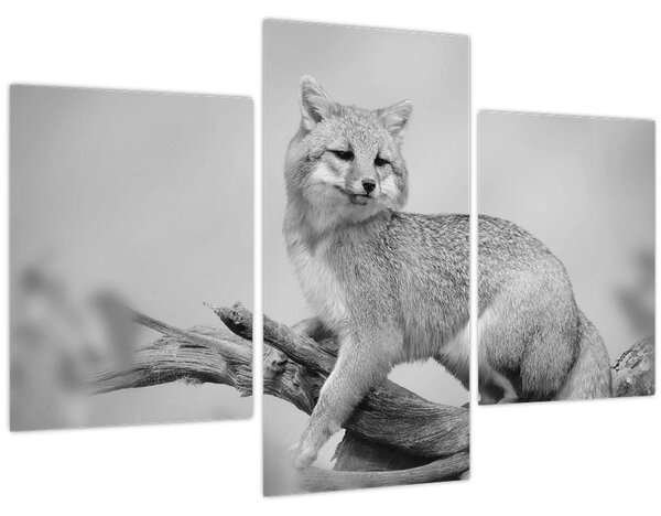 Tablou - Vulpe gri (90x60 cm)