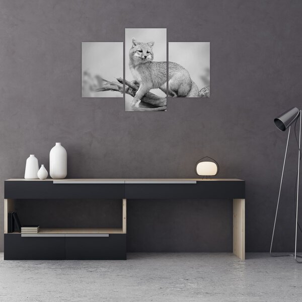 Tablou - Vulpe gri (90x60 cm)