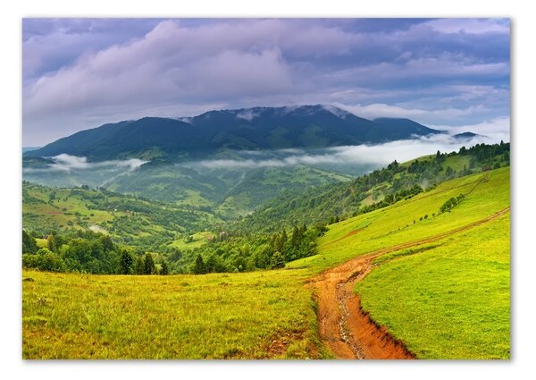 Tablou Printat Pe Sticlă Dealuri verzi