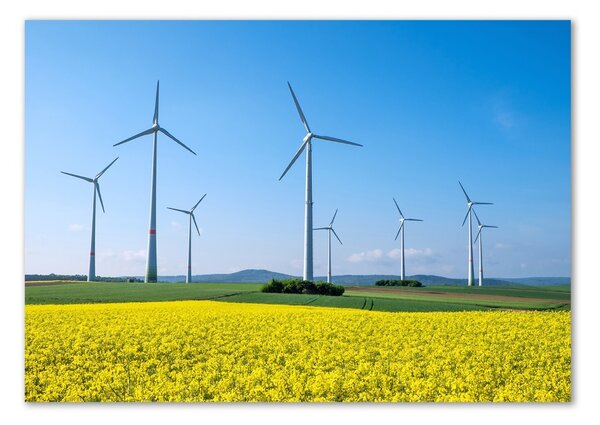 Tablou sticlă Windmills pe teren
