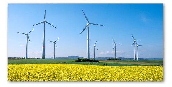 Tablou sticlă Windmills pe teren