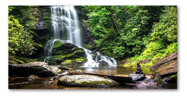 Tablou Printat Pe Sticlă Cascada din pădure