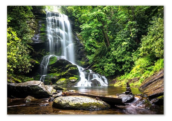 Tablou Printat Pe Sticlă Cascada din pădure