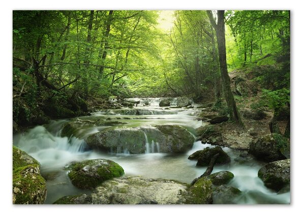 Tablou sticlă Cascada din pădure