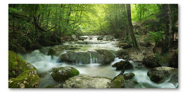 Tablou sticlă Cascada din pădure