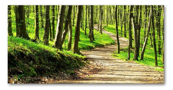 Tablou din Sticlă Calea în pădure