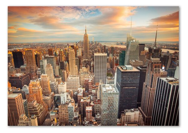 Tablou sticlă New York pasăre de zbor