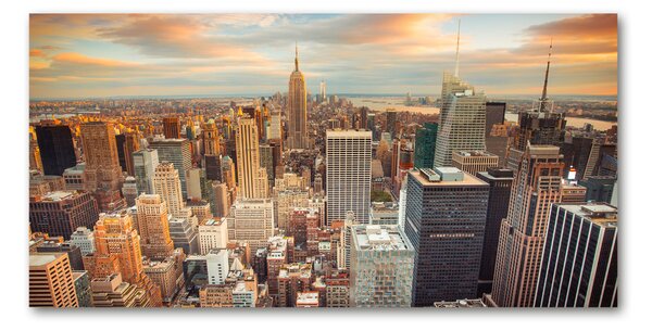 Tablou sticlă New York pasăre de zbor