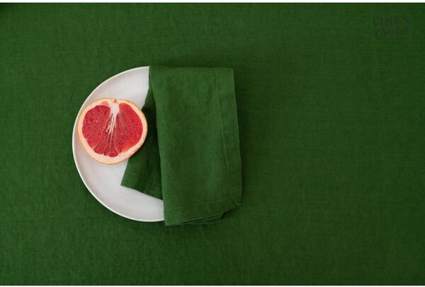 Suport pentru farfurii din in 35x45 cm True Green – Linen Tales