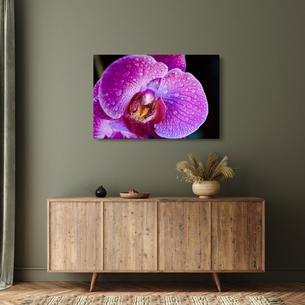 Tablou detailat cu floare de orhidee (90x60 cm)