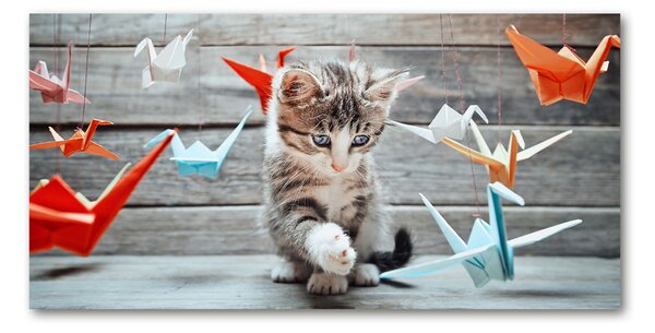 Fotografie imprimată pe sticlă Cat cu păsări de hârtie
