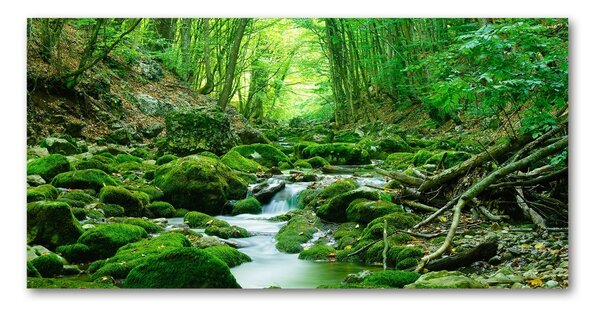 Tablou Printat Pe Sticlă Stream în pădure